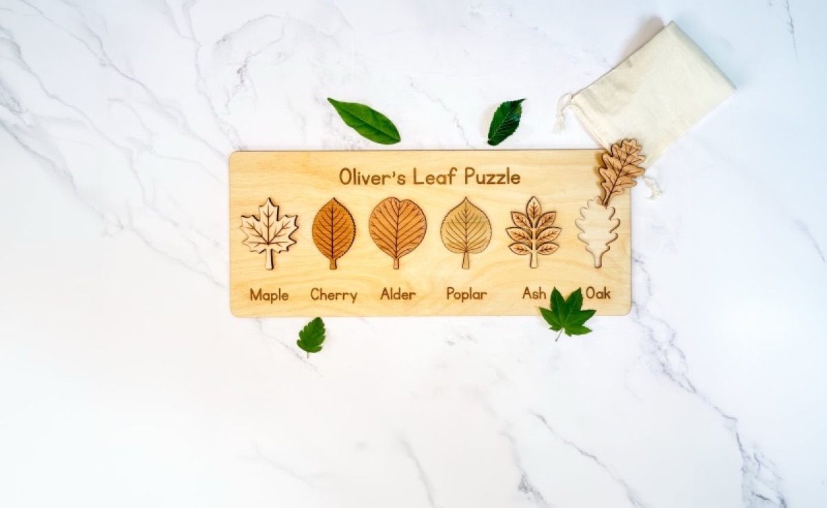 Wooden leaf puzzle cut from six real hardwood species